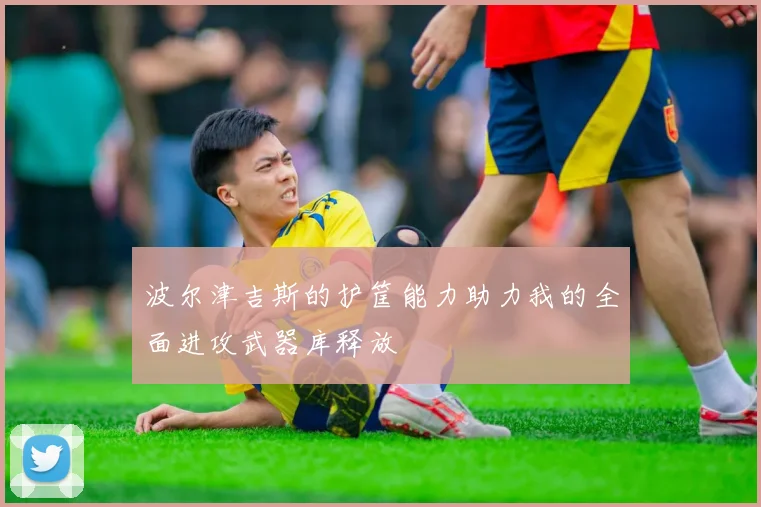 波尔津吉斯的护筐能力助力我的全面进攻武器库释放