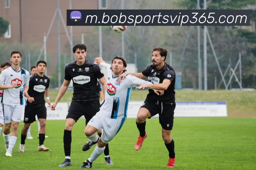 bob体育发展历程