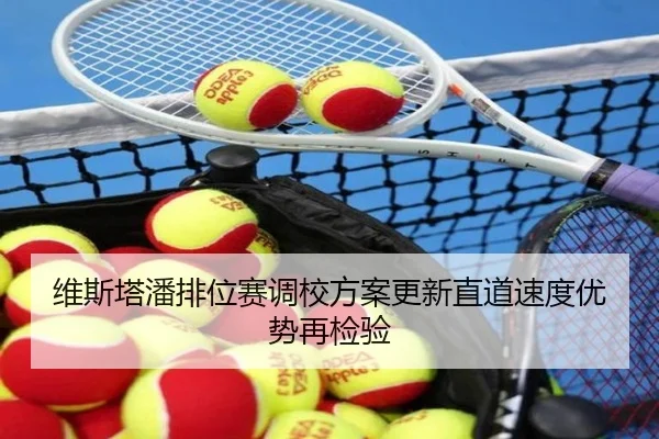 维斯塔潘排位赛调校方案更新直道速度优势再检验（bob）